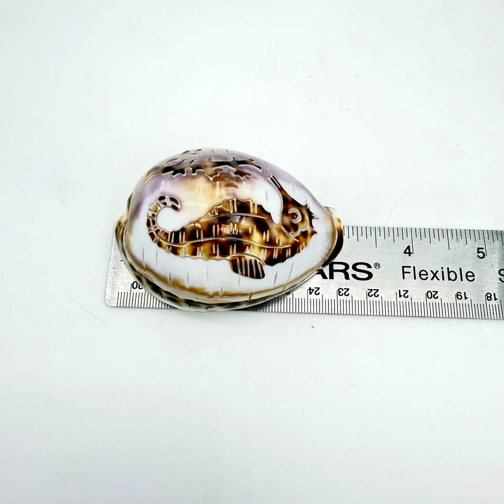 Vintage Carved Tiger Cowrie Shell‎ Pair Pelican Seahorse Cameo Coastal Estate